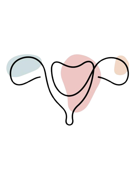 uterus